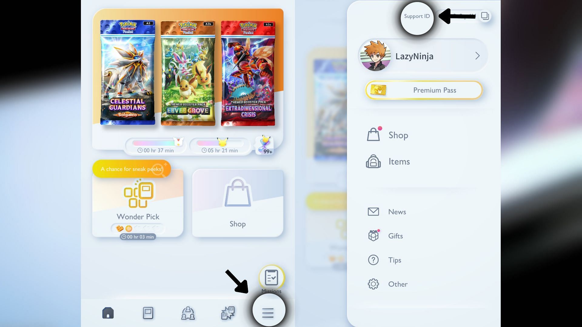 Where to find your TCG Pocket Support ID (Image via The Pokemon Company)
